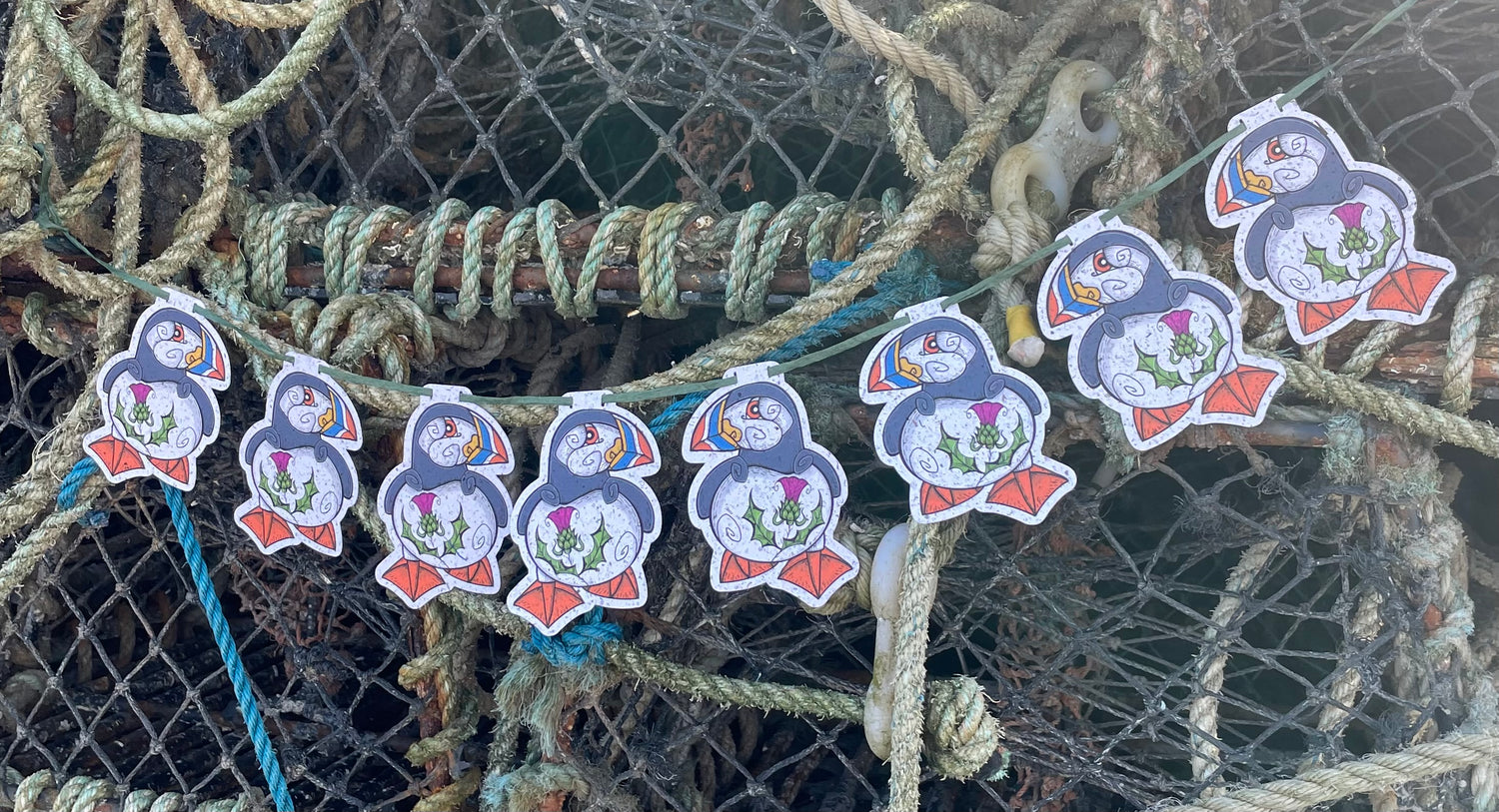 Merry Coastal Collection